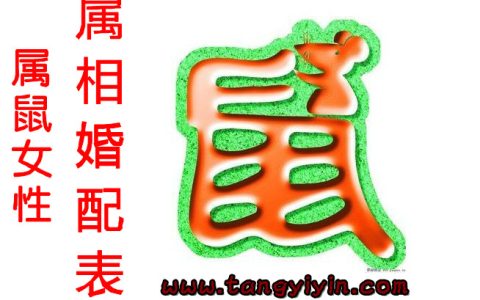 属鼠女性属相婚配表