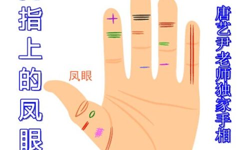 大拇指上第一节三条或两条纹的凤眼，是否吉利，唐艺尹老师认为有此多数聪明过人，家庭富裕