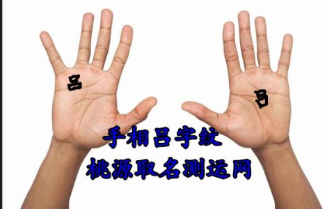 手相吕字纹适合往哪一方发展，唐艺尹老师手相