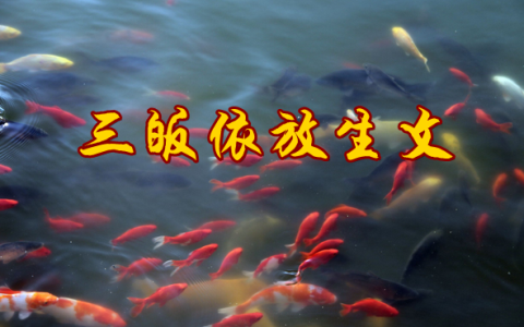 三皈依放生文