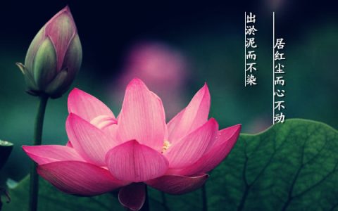 《葬经》祈福还愿凶吉日查询（历代皇帝参考的还愿日）