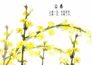 023癸卯年什么时候立春？"