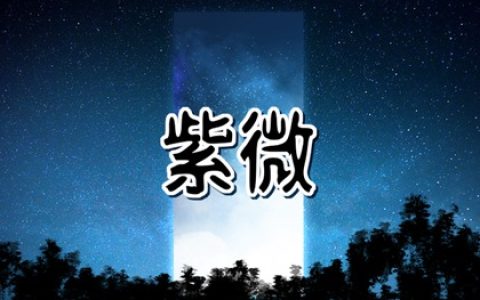 紫微斗数命理：事业宫有巨门星，在事业方面很有头脑，很适合研发，口才类的职业