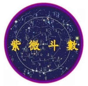 紫微斗数命理：出现这两颗星同宫，是为破产信息