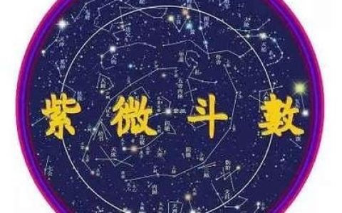 紫微斗数命理：出现这两颗星同宫，是为破产信息